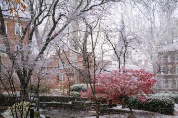 OHIO's College Green is shown with snow on the tree branches and bushes on a cool November day