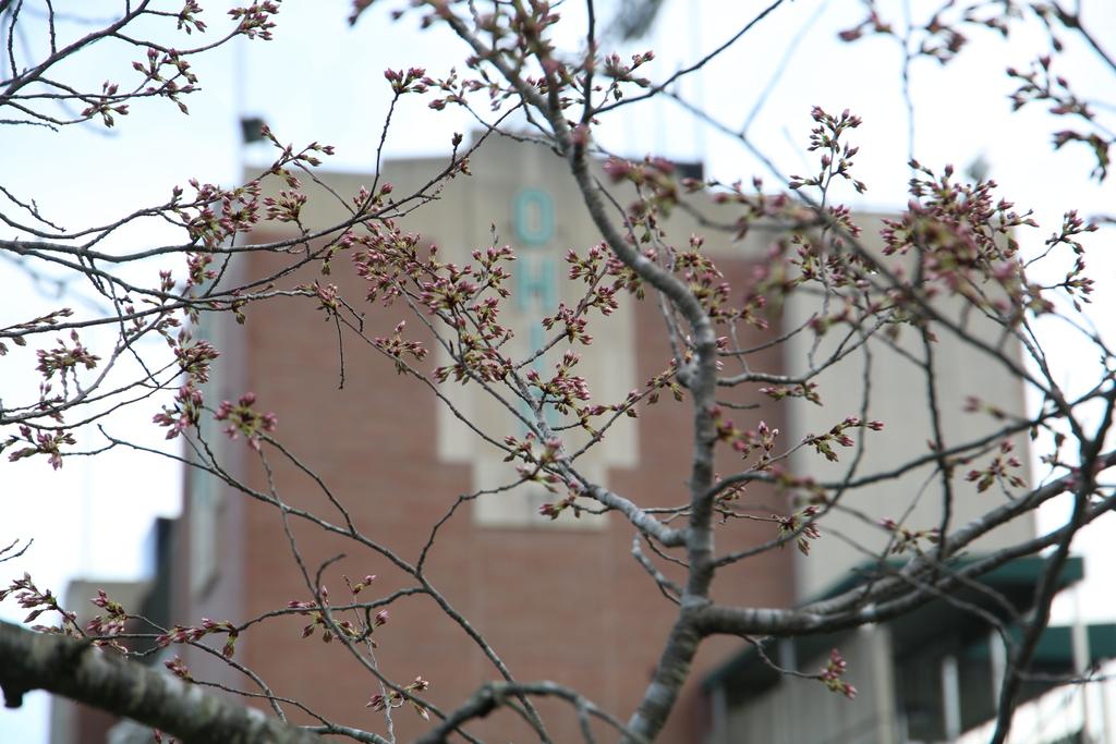 March 24, 2025 Ohio Buds