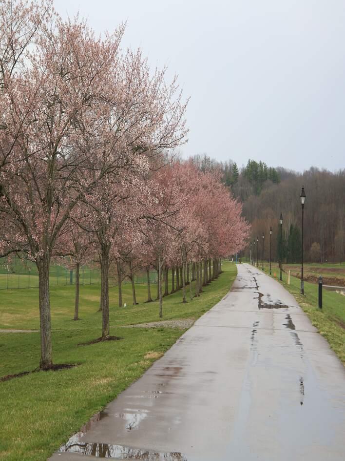 March 28, 2025 Bike Trail