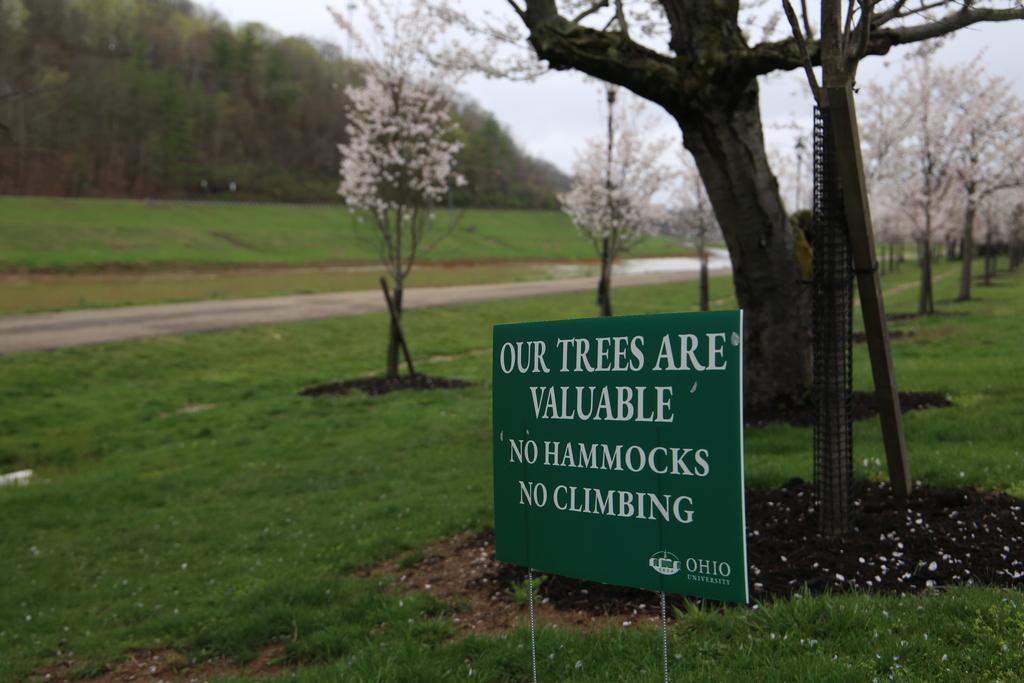 3_31_2025 No Climbing