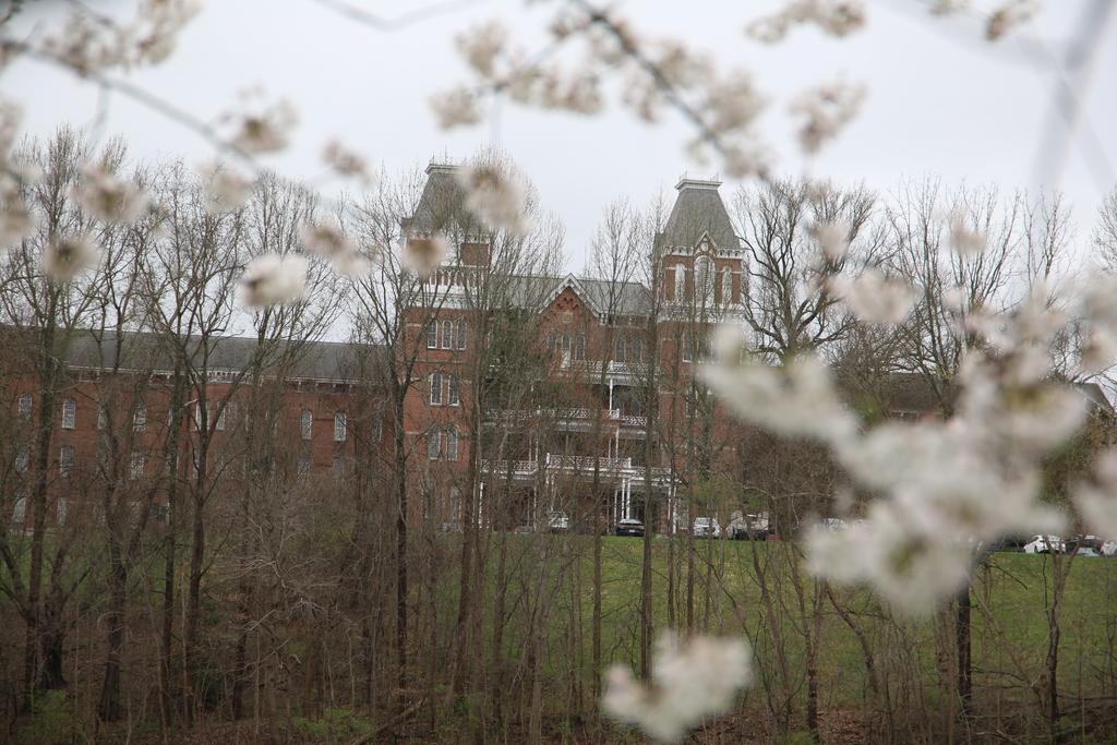 3_31_2025 Ridges (1)